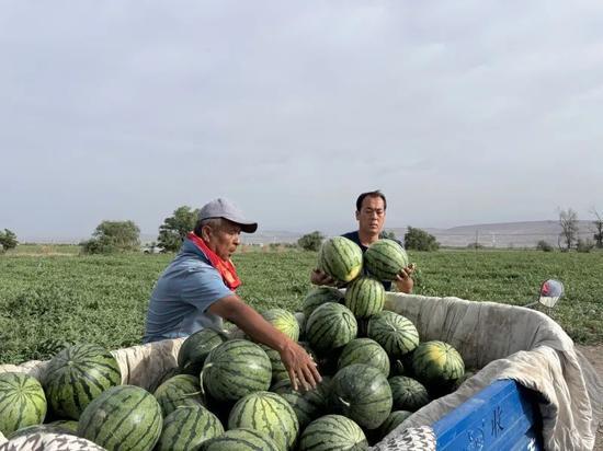 雨城区吃瓜,品味清凉，畅享生活