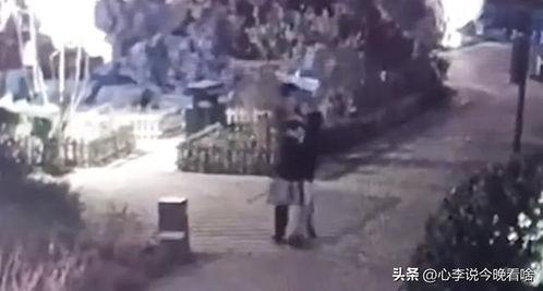 红河吃瓜事件视频,一场引发热议的网络狂欢