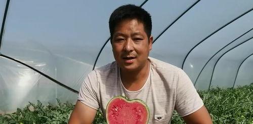 吃瓜陈浩然,揭秘娱乐圈背后的真实故事