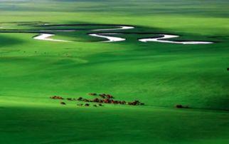 草原是吃瓜群众,吃瓜群众的绿色盛宴