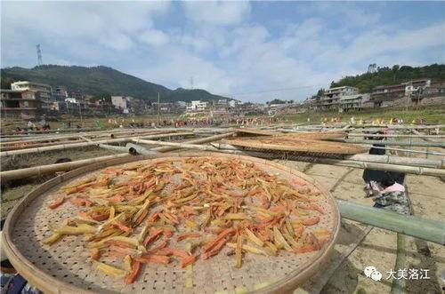 吃瓜抽象文化,揭秘网络时代的“瓜田”盛景