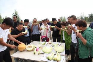 老汉吃瓜的视频