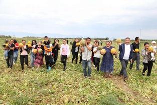 老汉吃瓜的视频