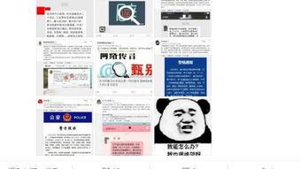 网警投票吃瓜,揭秘网络舆论背后的故事