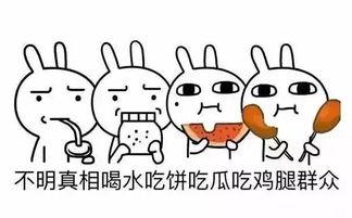 猪猪女孩吃瓜记,猪猪女孩的甜蜜瓜界探险记