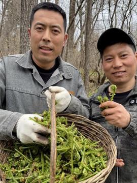 稻庄吃瓜视频全集,揭秘视频全集背后的精彩故事