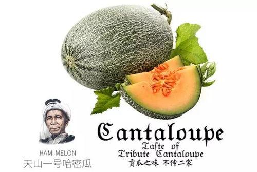 吃瓜喝水吃饼干是什么梗,揭秘“吃瓜喝水吃饼干”网络热梗背后的趣味与内涵