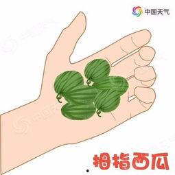 老板带你吃瓜,揭秘办公室八卦风云