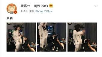 gnz48 吃瓜,揭秘偶像团体背后的“吃瓜”故事