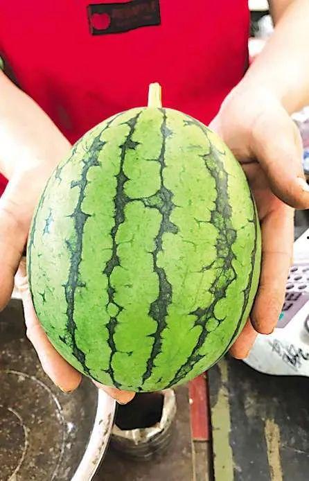 青岛吃瓜聚集地