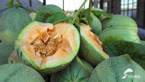 爱满吃瓜,揭秘娱乐圈甜蜜背后的瓜田秘事