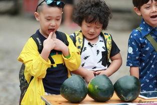 古代萌娃吃瓜,童趣盎然的古代瓜果盛宴