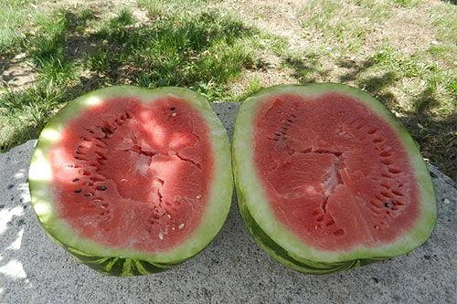 梦见吃瓜都臭了,吃瓜变臭的神秘启示