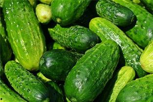 梦见吃瓜都臭了,吃瓜变臭的神秘启示