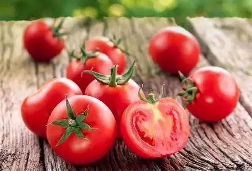 郡主吃瓜番茄,揭秘番茄背后的宫廷秘闻