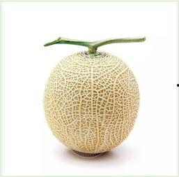 如何淡定吃瓜,如何保持冷静看热闹