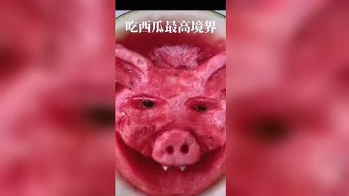 吃瓜最高的境界,揭秘吃瓜最高境界的奥秘