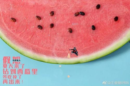 吃瓜最高的境界,揭秘吃瓜最高境界的奥秘