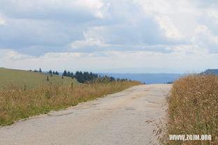 做梦梦到摘瓜吃瓜,摘瓜吃瓜的奇幻之旅