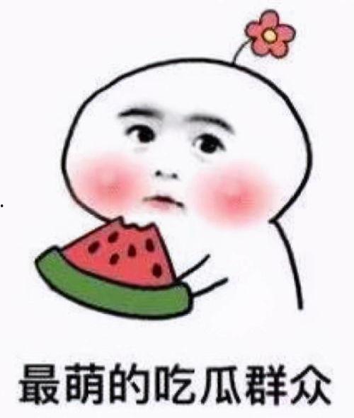 老实吃瓜小市民