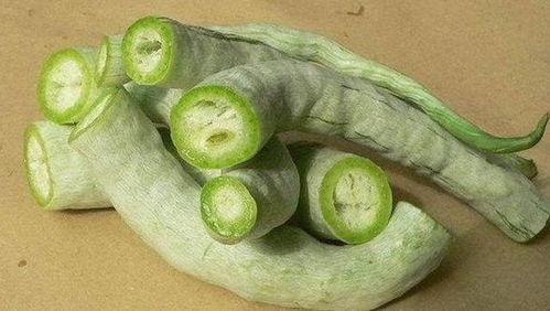 吃蛇瓜怎么减肥,天然美味助你轻松瘦身