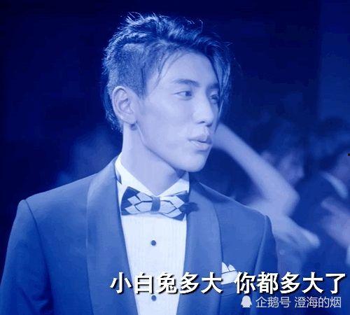 王子异瓜田吃瓜,趣味横生瞬间引网友热议