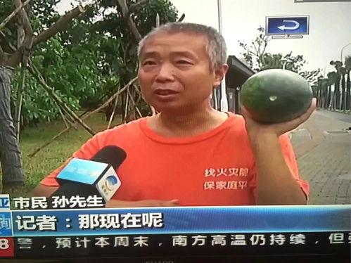 射阳吃瓜群众事件最新,一场网络舆论的风暴与反思