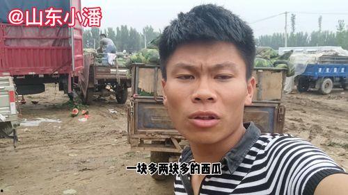 没有对象的人吃瓜,没有对象也能吃瓜不停