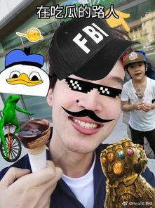 吃瓜的路人啊,吃瓜路人视角下的娱乐圈风云录