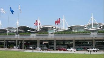 杭州萧山机场吃瓜,吃瓜群众的味蕾盛宴