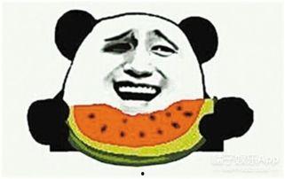 白姨吃瓜群众,揭秘娱乐圈幕后真相