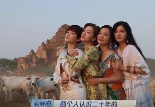 吃瓜七仙女,网络红人的崛起与影响力