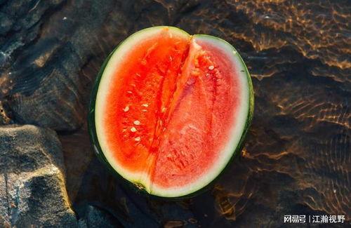 瓜怎么吃没寒,寒性食材的养生之道