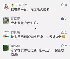 昆明吃瓜公众号,揭秘昆明美食圈那些鲜为人知的秘密