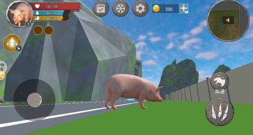 游戏小猪吃瓜怪物,趣味冒险之旅