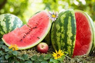 加钱吃瓜,揭秘网络热议背后的经济动因