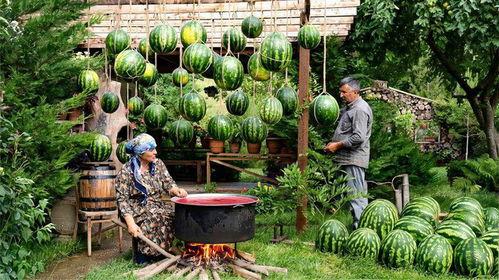 果丹皮吃瓜,揭秘瓜界那些事儿