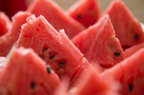 吃瓜君瓜瓜爱吃瓜,揭秘吃瓜君的瓜界传奇