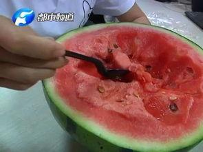 吃瓜病毒视频,揭秘网络传播背后的真相与影响