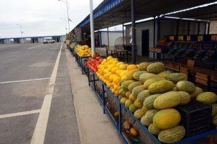 瓜州高速吃瓜,一场别开生面的“吃瓜”之旅