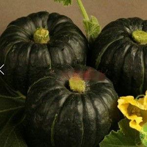 南瓜怎样吃吊瓜好吃,创意烹饪新体验