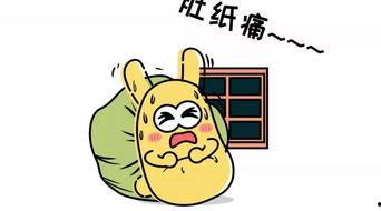 吃瓜群众孝感,吃瓜群众的欢乐盛宴