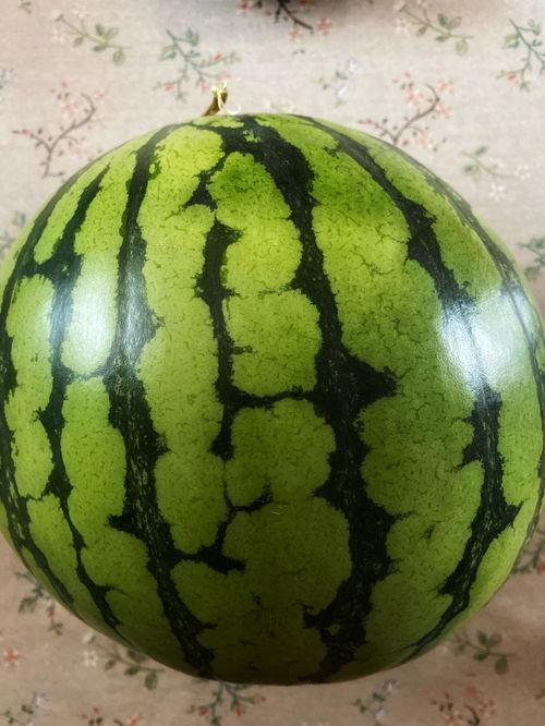 瓜瓜吃瓜表演,趣味横生的喜剧盛宴