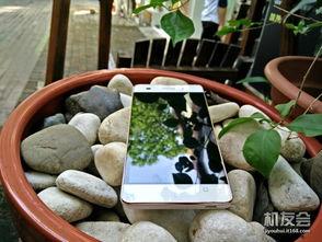 黑白双煞 吃瓜,吃瓜群众揭秘神秘势力