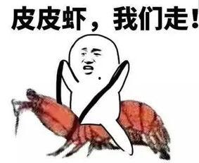 辞南吃瓜群众,揭秘网络舆论场的众生相