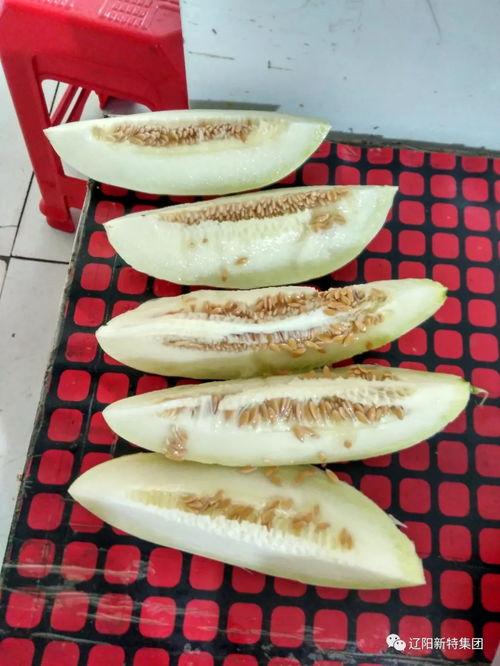 吃瓜开放区,一场全民参与的趣味盛宴