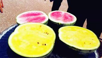 吃瓜开放区,一场全民参与的趣味盛宴