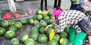 杭州天台吃瓜事件,一场网络围观下的道德拷问