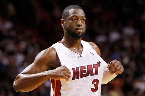 韦德带你吃瓜,韦德带你领略娱乐圈的瓜田盛宴