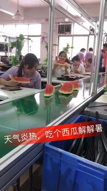 吃瓜工厂,揭秘娱乐圈幕后真相